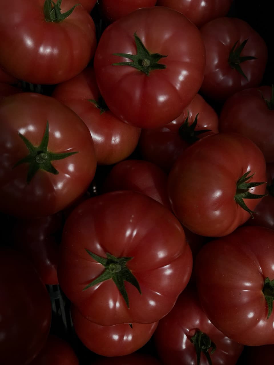 Premium selection tomatoes